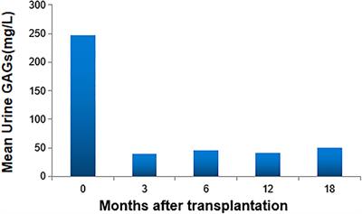 The Outcome of Allogeneic Hematopoietic Stem Cell Transplantation From Different Donors in Recipients With Mucopolysaccharidosis